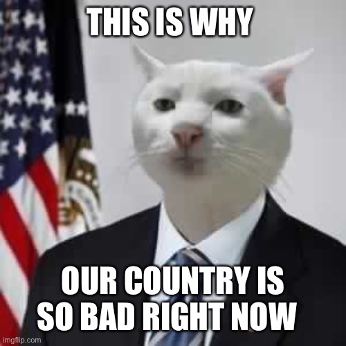 GovernmentBeuraCat | THIS IS WHY; OUR COUNTRY IS SO BAD RIGHT NOW | image tagged in governmentbeuracat | made w/ Imgflip meme maker