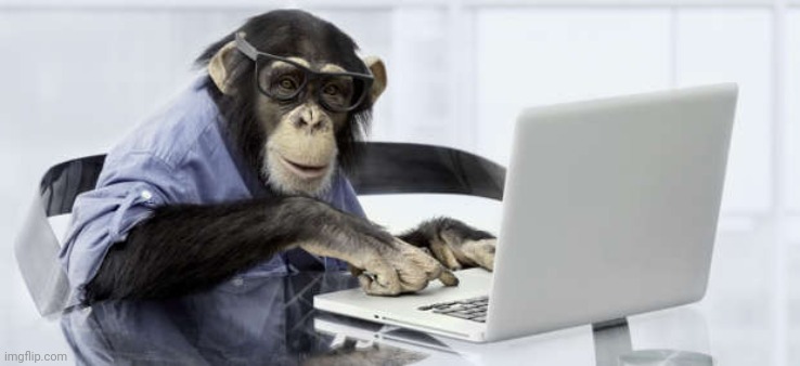 Code Monkey | image tagged in code monkey | made w/ Imgflip meme maker