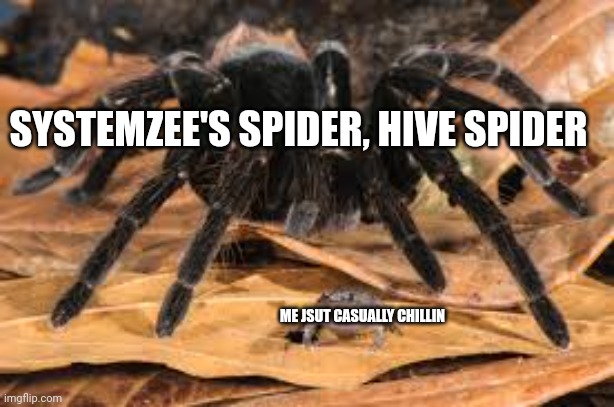 I dont play java edition but I found a video so.... | SYSTEMZEE'S SPIDER, HIVE SPIDER; ME JSUT CASUALLY CHILLIN | image tagged in spider and frog | made w/ Imgflip meme maker