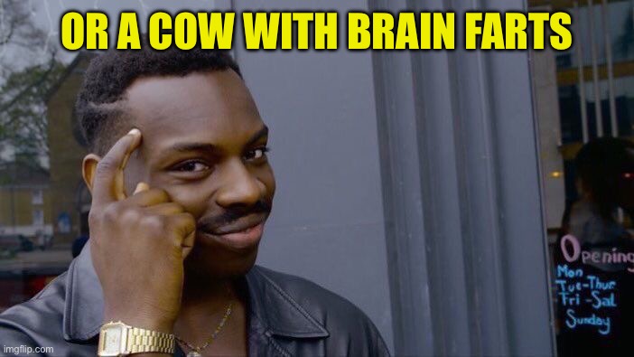 Roll Safe Think About It Meme | OR A COW WITH BRAIN FARTS | image tagged in memes,roll safe think about it | made w/ Imgflip meme maker