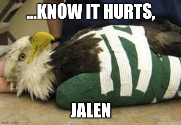 The Eagles have Landed | ...KNOW IT HURTS, JALEN | image tagged in super bowl,philadelphia eagles,sports,funny,memes | made w/ Imgflip meme maker