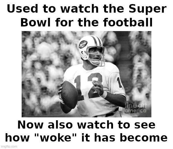 Used to watch the Super Bowl for the football | image tagged in super bowl,joe namath,ny jets,woke,joke,nonsense | made w/ Imgflip meme maker