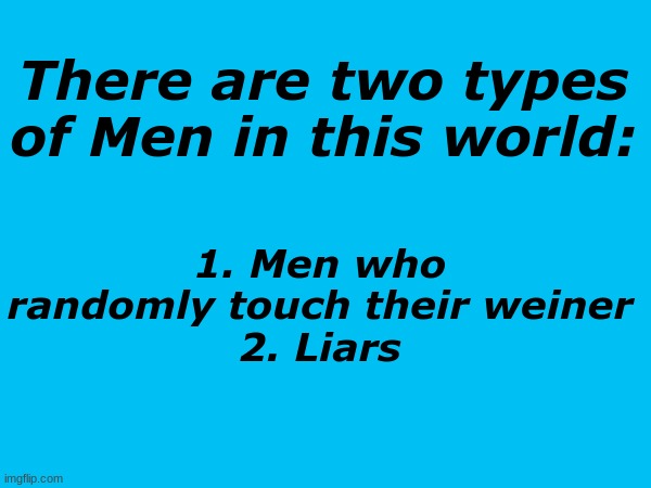 . | There are two types of Men in this world:; 1. Men who randomly touch their weiner
2. Liars | made w/ Imgflip meme maker