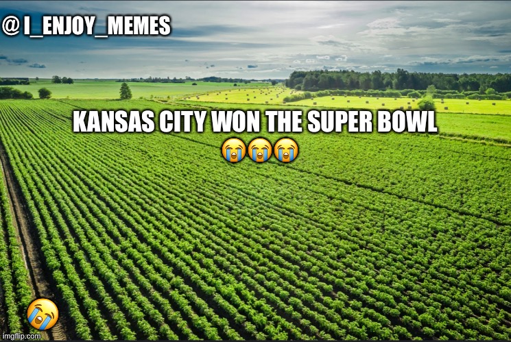 I_enjoy_memes_template | KANSAS CITY WON THE SUPER BOWL 
 😭😭😭; 😭 | image tagged in i_enjoy_memes_template | made w/ Imgflip meme maker