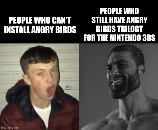 Me when the |  PEOPLE WHO CAN'T INSTALL ANGRY BIRDS; PEOPLE WHO STILL HAVE ANGRY BIRDS TRILOGY FOR THE NINTENDO 3DS | image tagged in average enjoyer meme,angry birds,3ds,virgin vs chad,virgin,gigachad | made w/ Imgflip meme maker