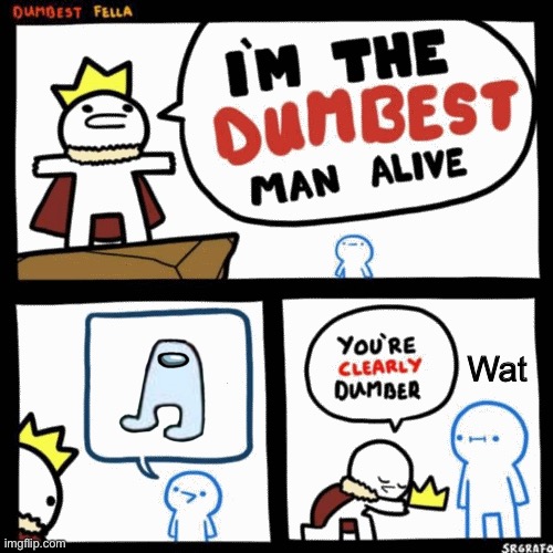Amongus is not funny | Wat | image tagged in i'm the dumbest man alive | made w/ Imgflip meme maker