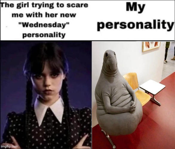 The girl trying to scare me with her new Wednesday personality | image tagged in the girl trying to scare me with her new wednesday personality | made w/ Imgflip meme maker