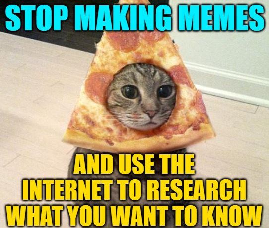 pizza cat | STOP MAKING MEMES AND USE THE INTERNET TO RESEARCH WHAT YOU WANT TO KNOW | image tagged in pizza cat | made w/ Imgflip meme maker