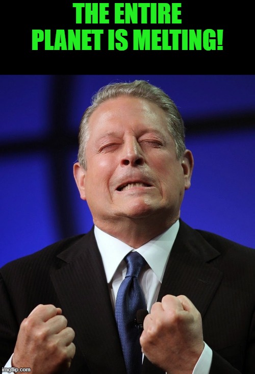 Al gore | THE ENTIRE PLANET IS MELTING! | image tagged in al gore | made w/ Imgflip meme maker