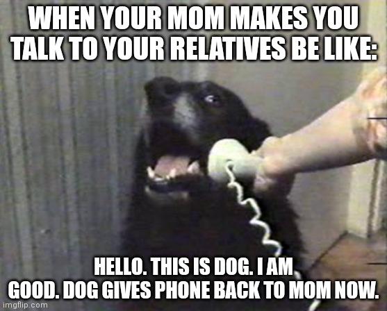 hello this is dog | WHEN YOUR MOM MAKES YOU TALK TO YOUR RELATIVES BE LIKE:; HELLO. THIS IS DOG. I AM GOOD. DOG GIVES PHONE BACK TO MOM NOW. | image tagged in hello this is dog | made w/ Imgflip meme maker