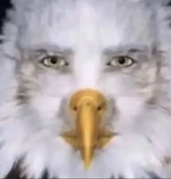 Staring eagle Blank Meme Template