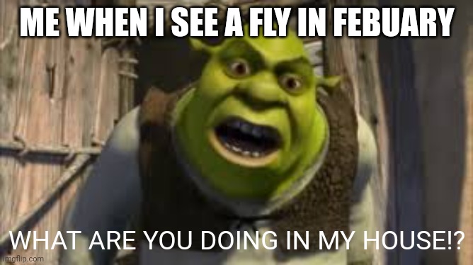 shrek yelling | ME WHEN I SEE A FLY IN FEBUARY; WHAT ARE YOU DOING IN MY HOUSE!? | image tagged in shrek yelling,funny,memes | made w/ Imgflip meme maker