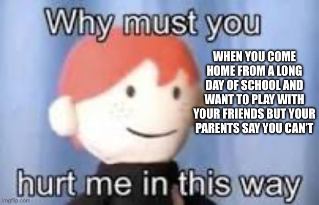 Why must you hurt me in this way | WHEN YOU COME HOME FROM A LONG DAY OF SCHOOL AND WANT TO PLAY WITH YOUR FRIENDS BUT YOUR PARENTS SAY YOU CAN’T | image tagged in why must you hurt me in this way | made w/ Imgflip meme maker