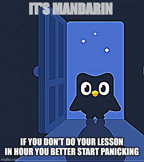 Duolingo bird | IT'S MANDARIN; IF YOU DON'T DO YOUR LESSON IN HOUR YOU BETTER START PANICKING | image tagged in duolingo bird | made w/ Imgflip meme maker