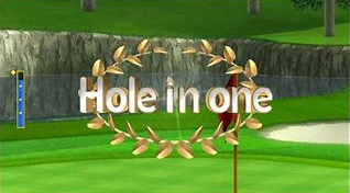 Wii Sports Hole in One Blank Meme Template