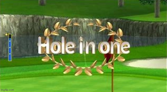 Wii Sports Hole in One | image tagged in wii sports hole in one | made w/ Imgflip meme maker