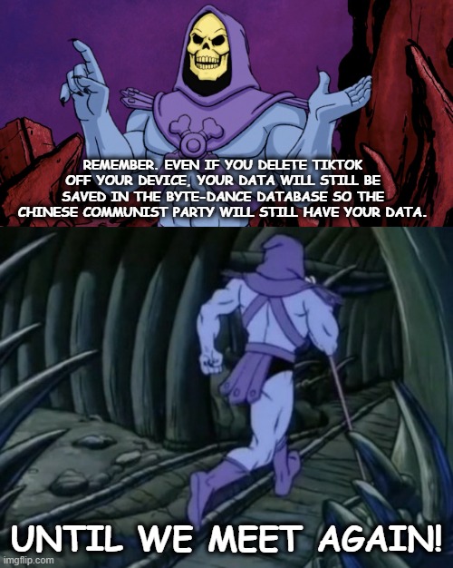 Downloading tiktok is a grave mistake. | REMEMBER. EVEN IF YOU DELETE TIKTOK OFF YOUR DEVICE, YOUR DATA WILL STILL BE SAVED IN THE BYTE-DANCE DATABASE SO THE CHINESE COMMUNIST PARTY WILL STILL HAVE YOUR DATA. UNTIL WE MEET AGAIN! | image tagged in skeletor until we meet again,memes | made w/ Imgflip meme maker