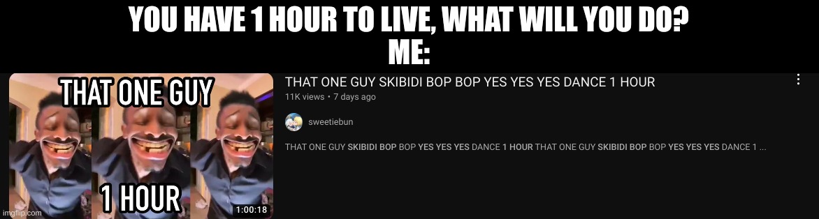 It's beautiful | YOU HAVE 1 HOUR TO LIVE, WHAT WILL YOU DO?
ME: | made w/ Imgflip meme maker