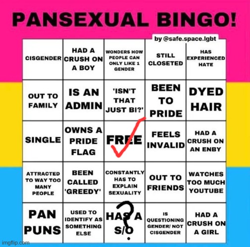 taking bingos that don't apply to me part 5 (wtf is an s/o) | image tagged in pansexual bingo | made w/ Imgflip meme maker