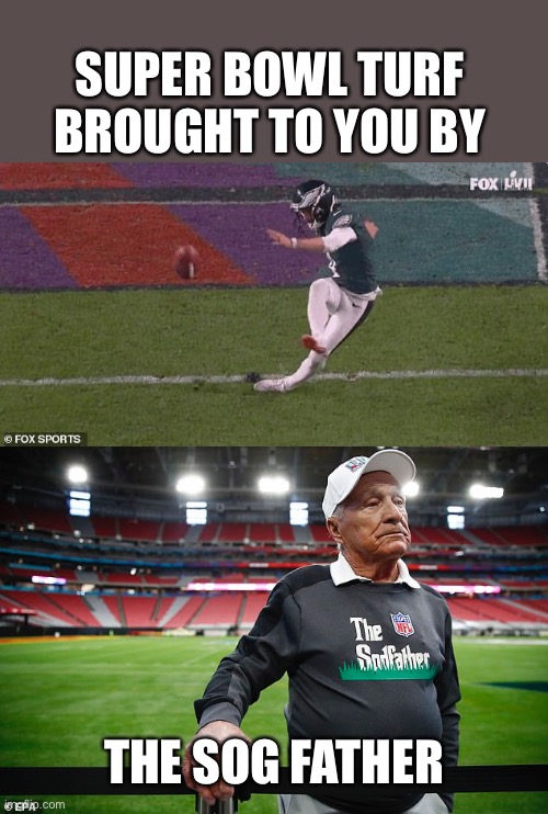 Maybe the turf was overwatered a wee bit? | SUPER BOWL TURF BROUGHT TO YOU BY; THE SOG FATHER | image tagged in super bowl,turf,slippery,sod father,soggy | made w/ Imgflip meme maker