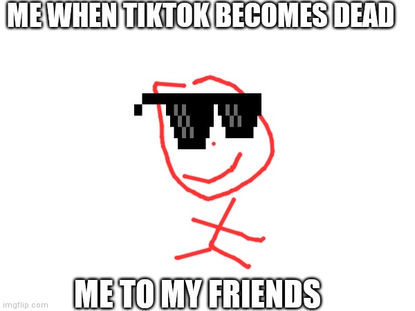 Imgflip is the BEESSSTT 2.0 | ME WHEN TIKTOK BECOMES DEAD; ME TO MY FRIENDS | image tagged in memes,tiktok sucks,imgflip community,so true memes,imgflip,imgflip unite | made w/ Imgflip meme maker