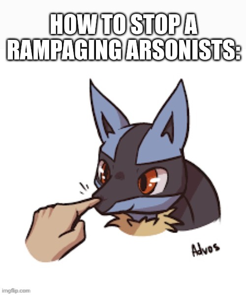 HOW TO STOP A RAMPAGING ARSONISTS: | made w/ Imgflip meme maker