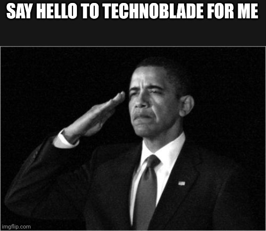 obama-salute | SAY HELLO TO TECHNOBLADE FOR ME | image tagged in obama-salute | made w/ Imgflip meme maker