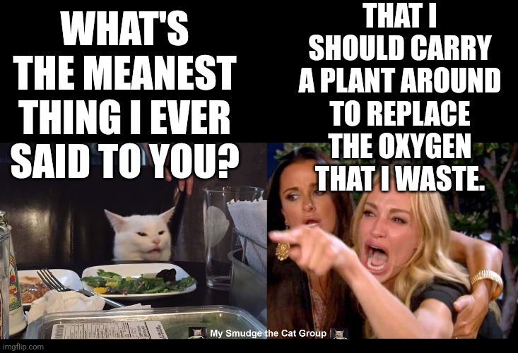 THAT I SHOULD CARRY A PLANT AROUND TO REPLACE THE OXYGEN THAT I WASTE. WHAT'S THE MEANEST THING I EVER SAID TO YOU? | image tagged in smudge the cat | made w/ Imgflip meme maker