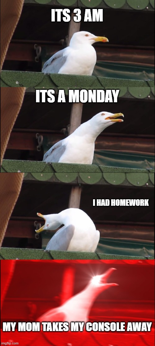 Inhaling Seagull | ITS 3 AM; ITS A MONDAY; I HAD HOMEWORK; MY MOM TAKES MY CONSOLE AWAY | image tagged in memes,inhaling seagull | made w/ Imgflip meme maker