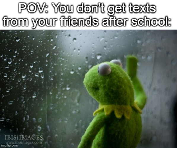 happens to me :( | POV: You don't get texts from your friends after school: | image tagged in kermit window,funny,sad,lol | made w/ Imgflip meme maker