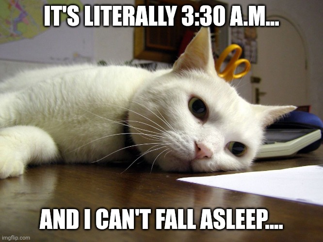 Ugh... | IT'S LITERALLY 3:30 A.M... AND I CAN'T FALL ASLEEP.... | image tagged in annoyed tired bored cat,memes,tired,the truth | made w/ Imgflip meme maker