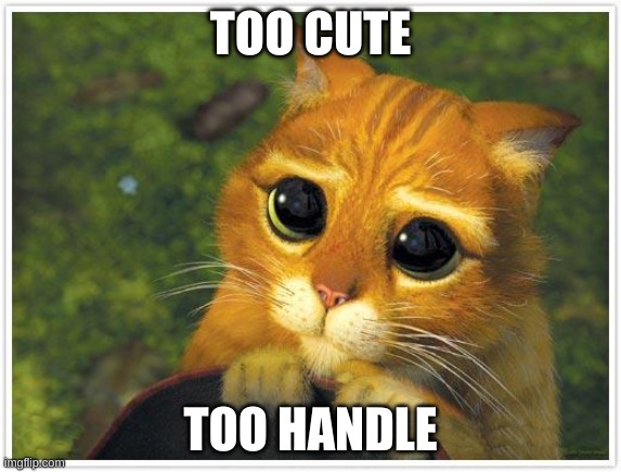 Shrek Cat Meme | TOO CUTE TOO HANDLE | image tagged in memes,shrek cat | made w/ Imgflip meme maker