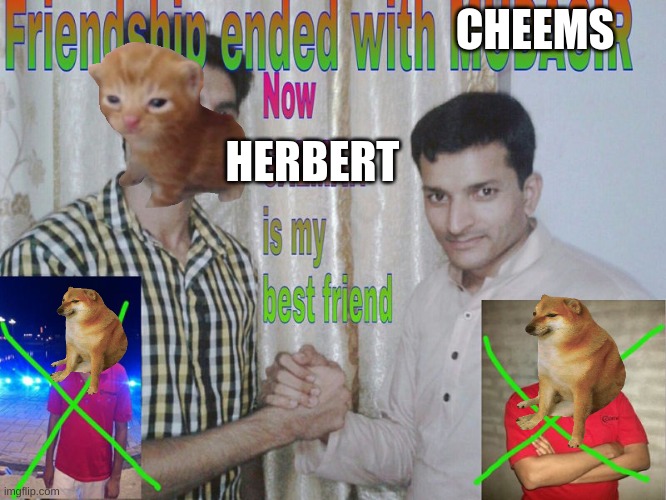 yes | CHEEMS; HERBERT | image tagged in friendship ended | made w/ Imgflip meme maker