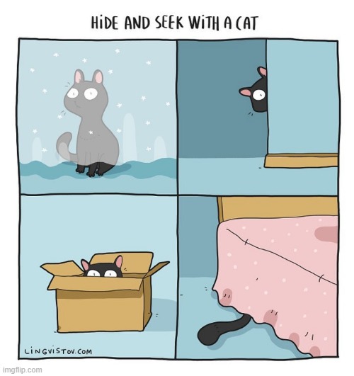 A Cat's Way Of Thinking | image tagged in memes,comics,hide and seek,with,cats,so cute | made w/ Imgflip meme maker