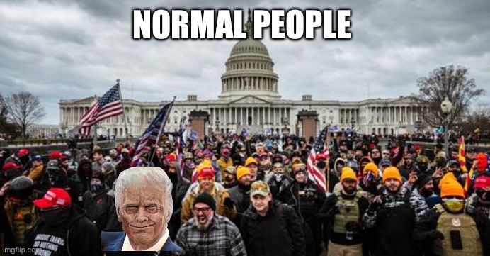 Jan 6th | NORMAL PEOPLE | image tagged in jan 6th | made w/ Imgflip meme maker