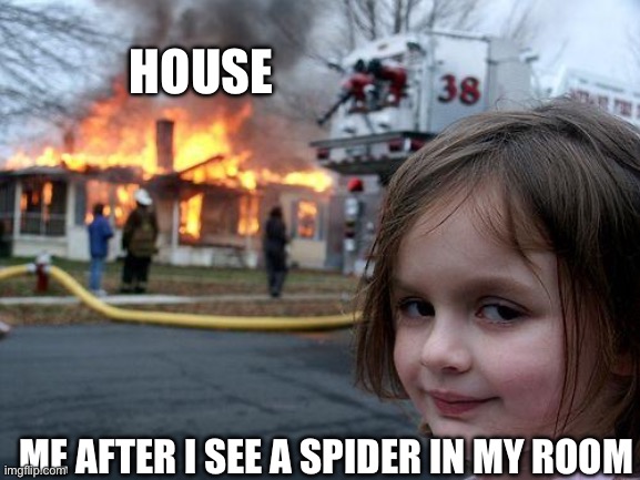 … | HOUSE; ME AFTER I SEE A SPIDER IN MY ROOM | image tagged in memes,disaster girl | made w/ Imgflip meme maker