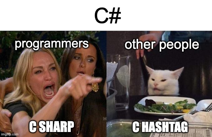 C# | C#; programmers; other people; C SHARP; C HASHTAG | image tagged in memes,woman yelling at cat | made w/ Imgflip meme maker
