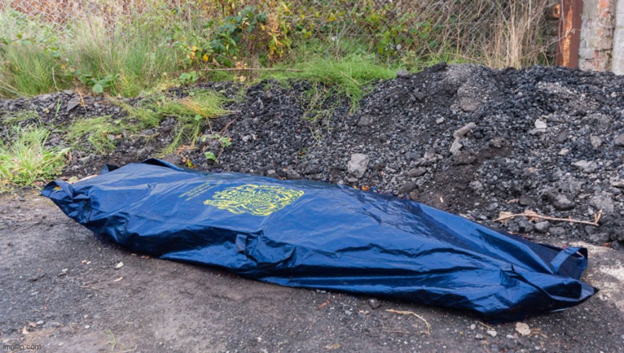 body bag | image tagged in body bag | made w/ Imgflip meme maker