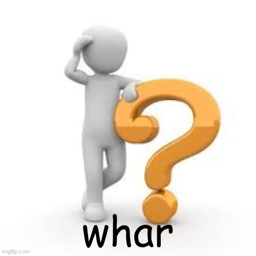 excuse me but whar | whar | image tagged in excuse me but whar | made w/ Imgflip meme maker