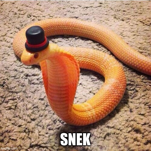 Dapper Snek | SNEK | image tagged in dapper snek | made w/ Imgflip meme maker