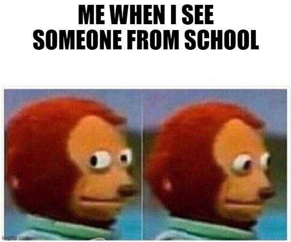 Monkey Puppet | ME WHEN I SEE SOMEONE FROM SCHOOL | image tagged in memes,monkey puppet | made w/ Imgflip meme maker