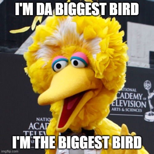 This is a Repost |  I'M DA BIGGEST BIRD; I'M THE BIGGEST BIRD | image tagged in memes,big bird | made w/ Imgflip meme maker