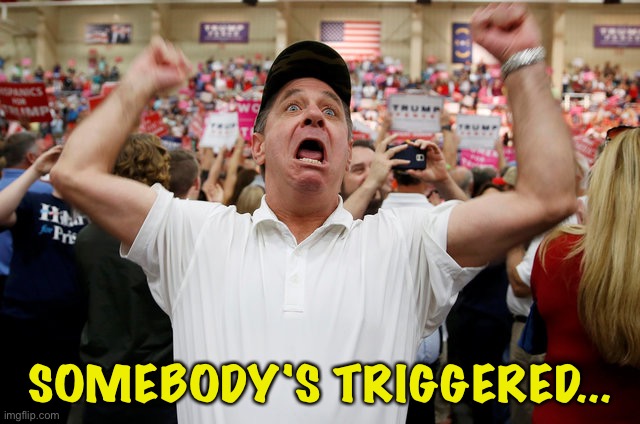 Trump Supporter Triggered | SOMEBODY'S TRIGGERED... | image tagged in trump supporter triggered | made w/ Imgflip meme maker