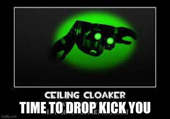 TIME TO DROP KICK YOU | image tagged in meme | made w/ Imgflip meme maker