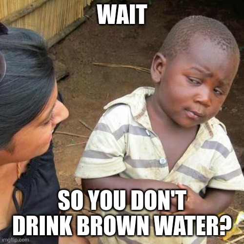 Goofy ahh | WAIT; SO YOU DON'T DRINK BROWN WATER? | image tagged in memes,third world skeptical kid | made w/ Imgflip meme maker