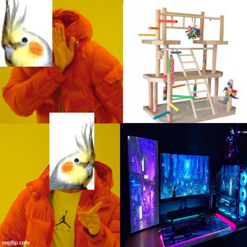 time for birb to play | image tagged in parrots,gaming setups | made w/ Imgflip meme maker