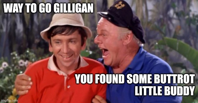 Gilligan Buttrot | WAY TO GO GILLIGAN; YOU FOUND SOME BUTTROT
LITTLE BUDDY | image tagged in gilligan and the skipper,funny memes | made w/ Imgflip meme maker