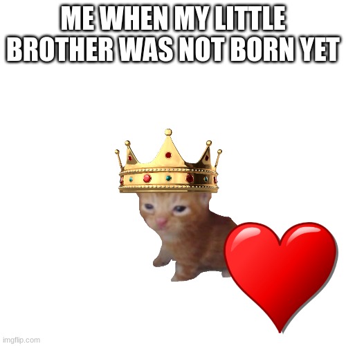 Blank Transparent Square Meme | ME WHEN MY LITTLE BROTHER WAS NOT BORN YET | image tagged in memes,blank transparent square | made w/ Imgflip meme maker