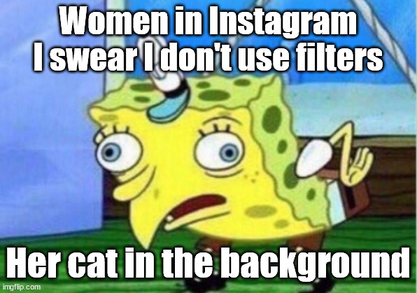 Women | Women in Instagram
I swear I don't use filters; Her cat in the background | image tagged in memes,mocking spongebob | made w/ Imgflip meme maker