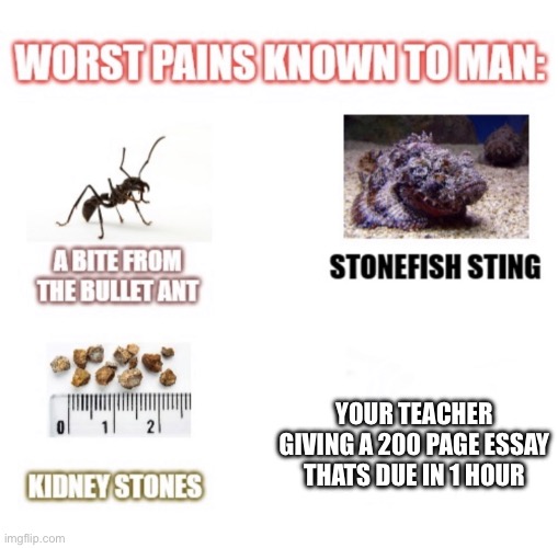 Truely Pain In Da Ass | YOUR TEACHER GIVING A 200 PAGE ESSAY THATS DUE IN 1 HOUR | image tagged in most painful things known to man | made w/ Imgflip meme maker